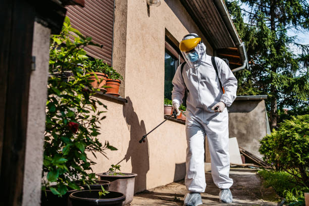 Pest Control Cost in Salt Creek Commons, IN