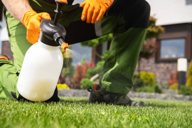 Best Insect Control  in Salt Creek Commons, IN