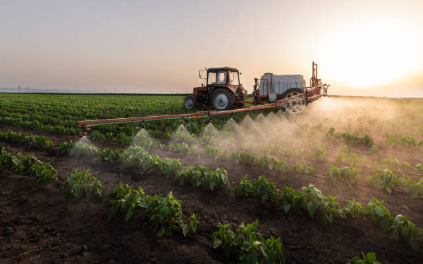 Best Commercial Pest Control Services  in Salt Creek Commons, IN