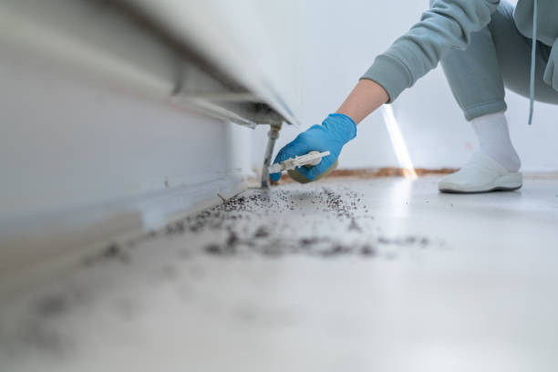 Salt Creek Commons, IN Pest Control Company